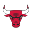 Bulls logo