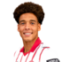 Axel Witsel headshot