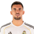 Dani Ceballos headshot
