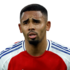 Gabriel Jesus headshot