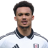 Antonee Robinson headshot