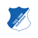 1899 Hoffenheim logo