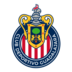 Guadalajara logo