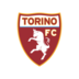 Torino logo
