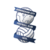 Birmingham City logo